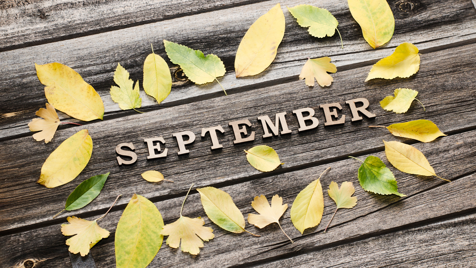 Japan Travel Outfit Guide for September! Optimal coordination according ...