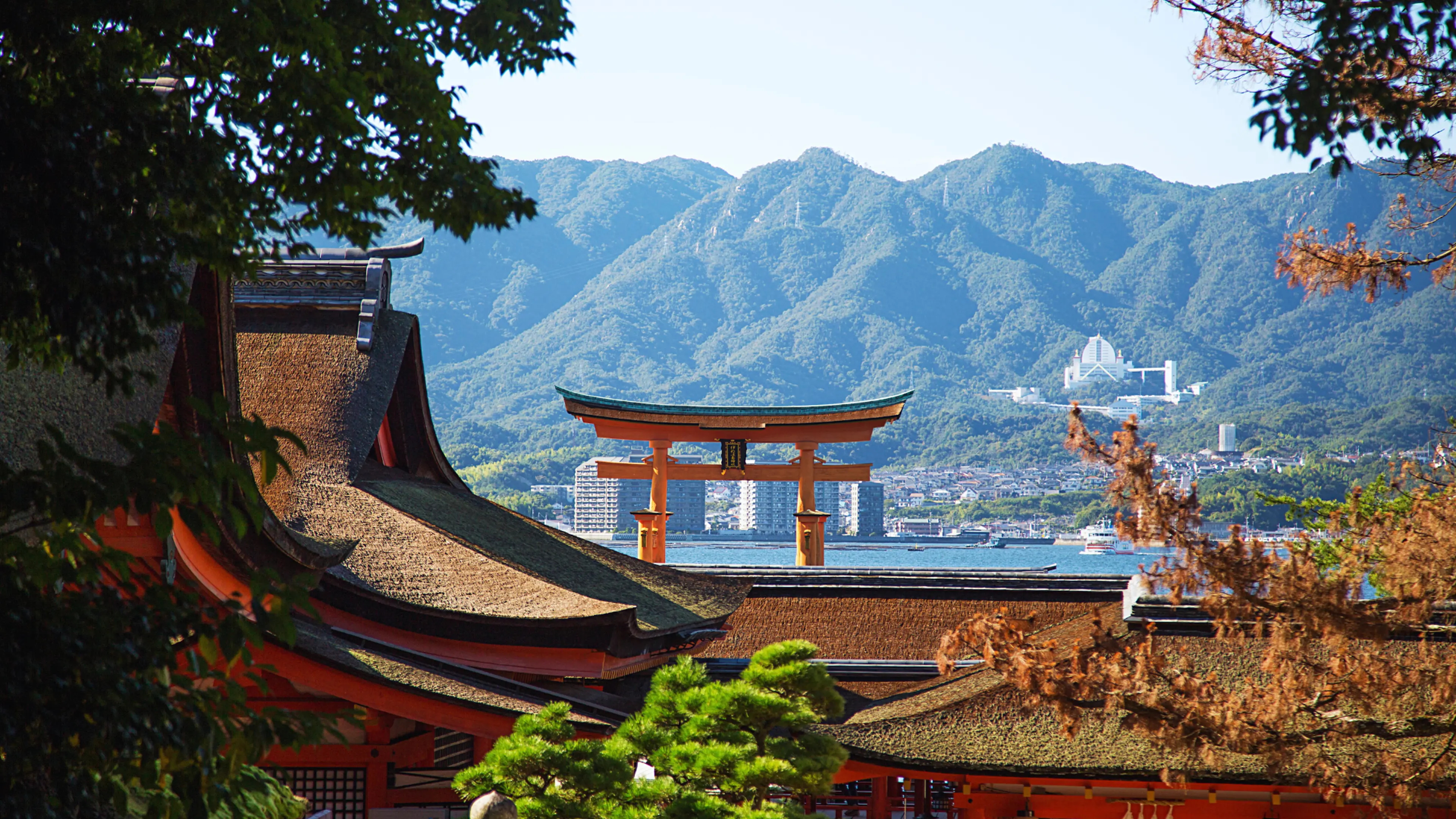 A complete guide to Japanese shrine worship etiquette! Basic rules that tourists should know