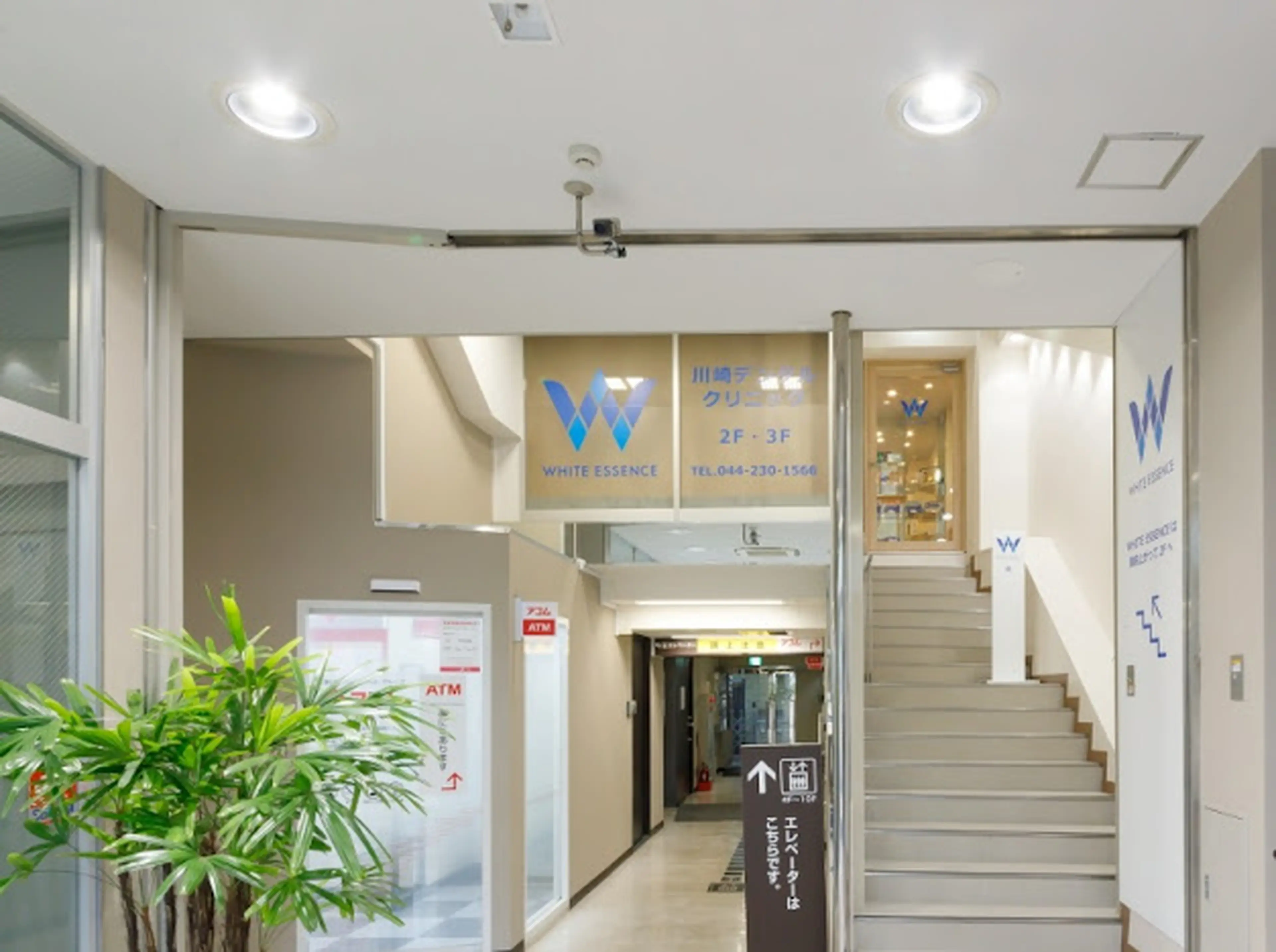 WHITE ESSENCE KAWASAKI