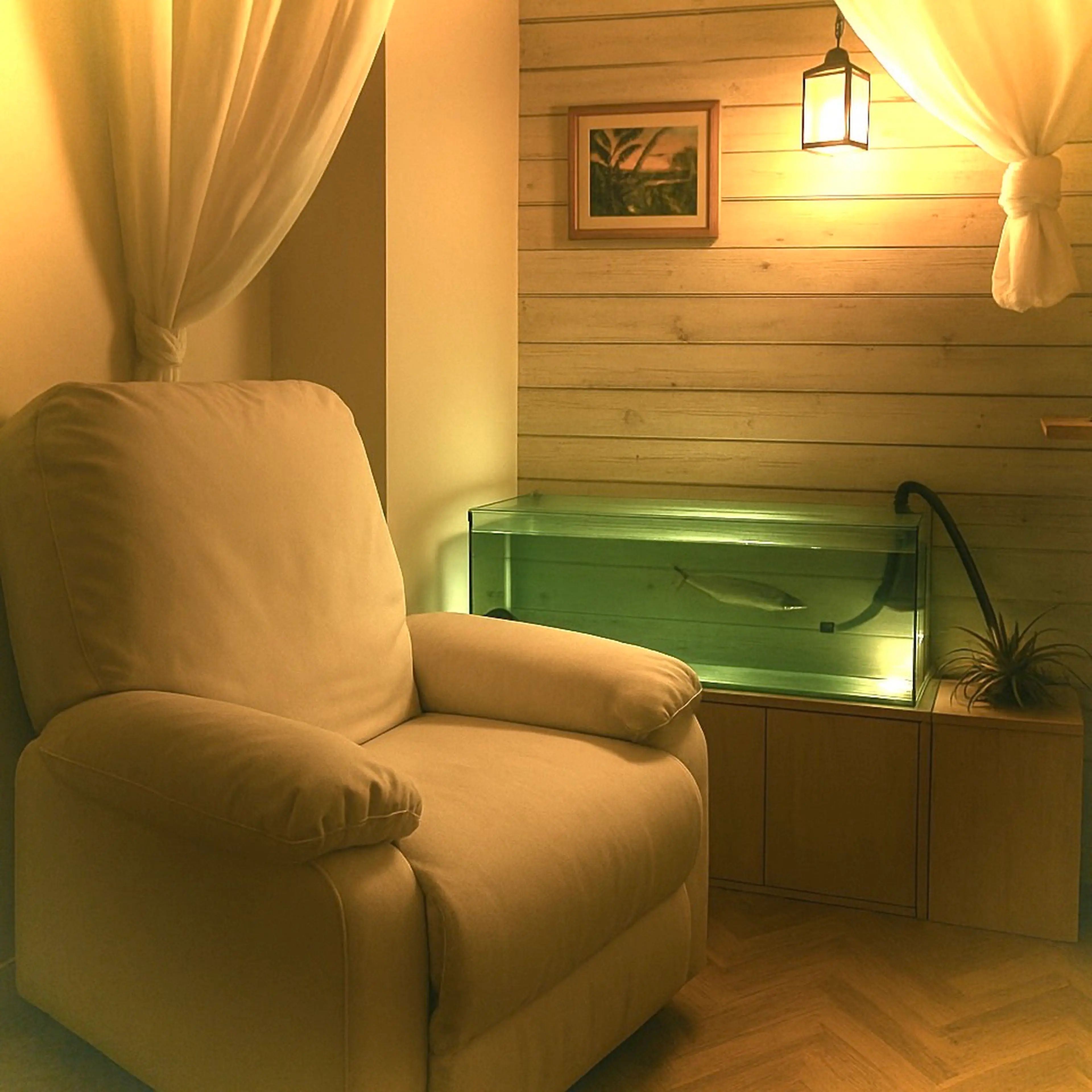 ドライヘッドスパ専門店 美眠 六本木店