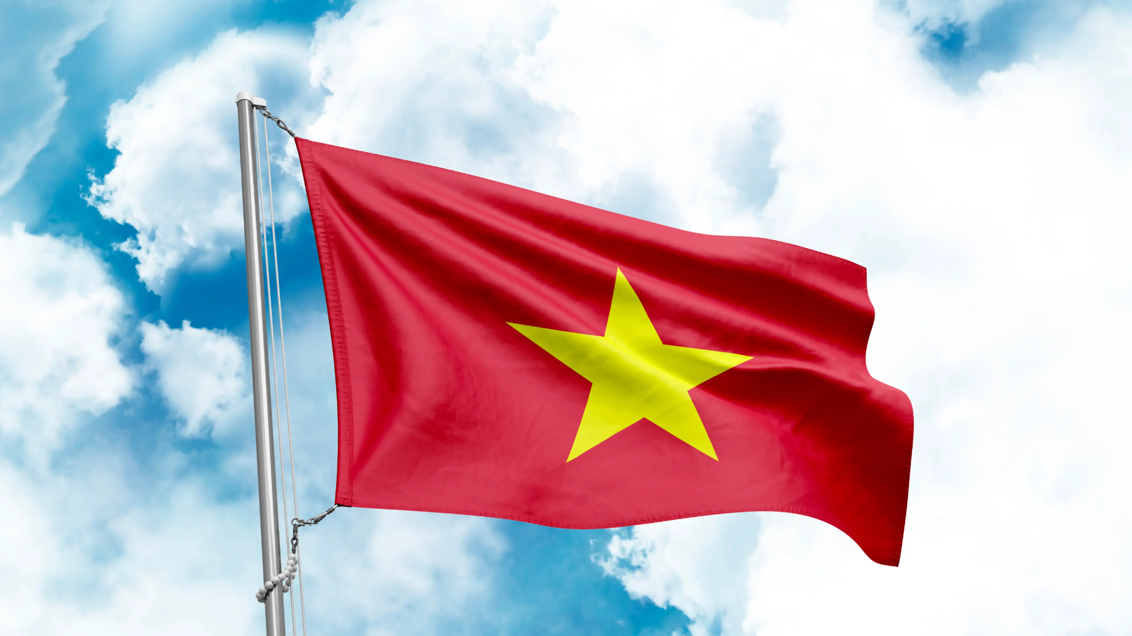 “Vietnam Festival 2024” will be held at Yoyogi Park in Tokyo! Experience authentic Vietnamese culture