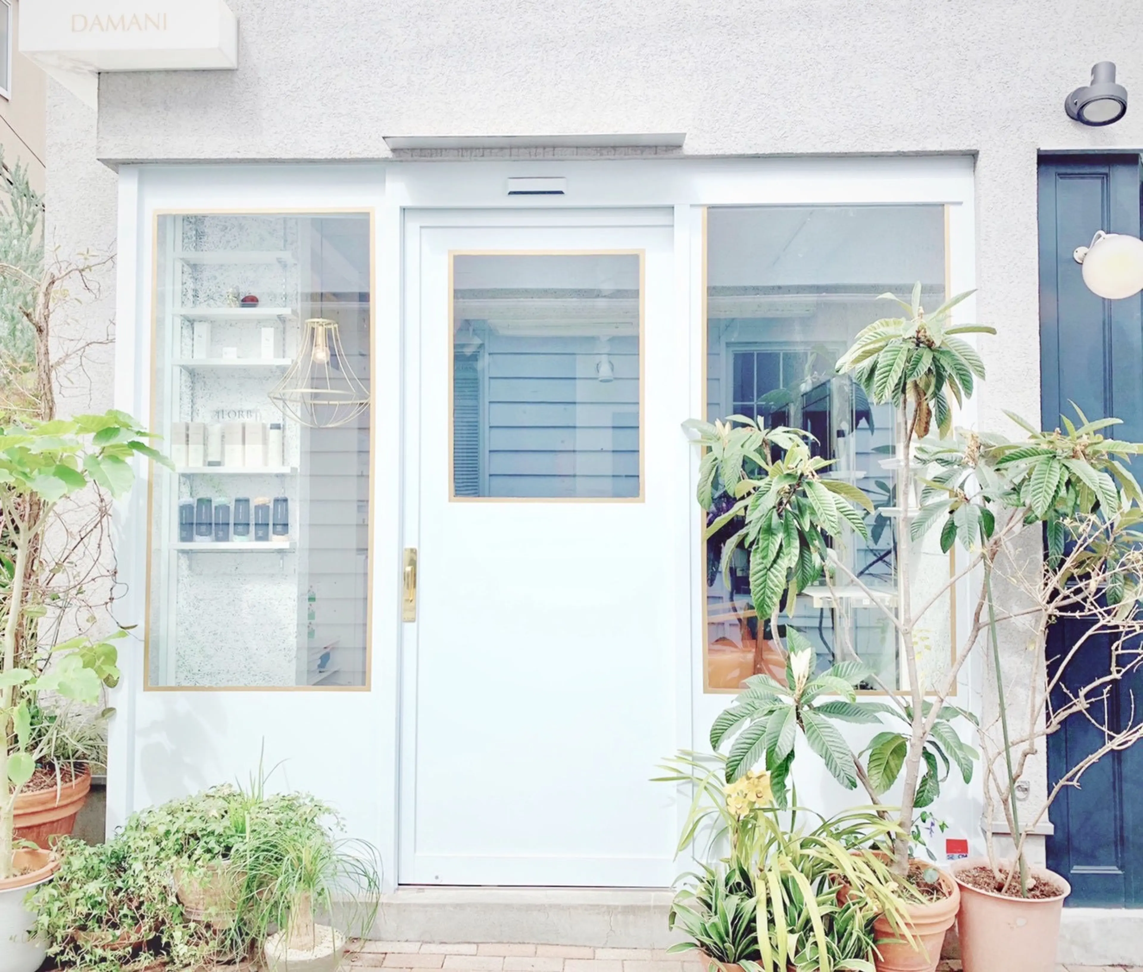 다마니 (다마니)