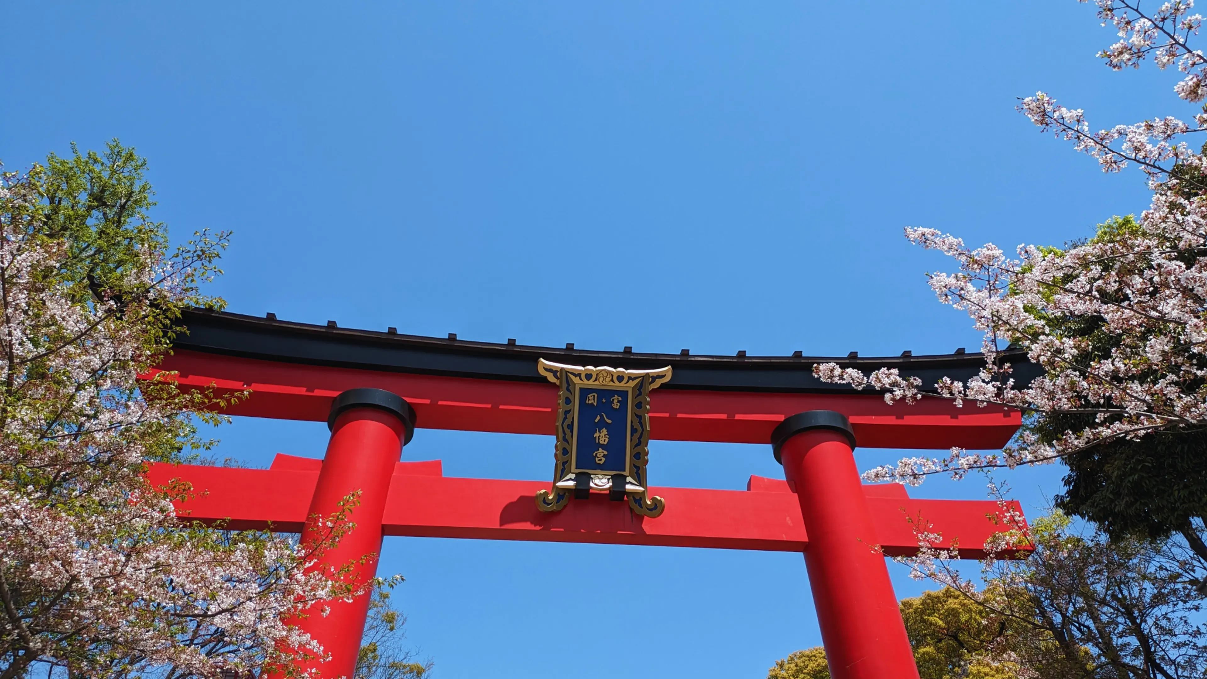 环游东京神社！江东区门前仲町富冈八幡宫和深川不动堂参观指南