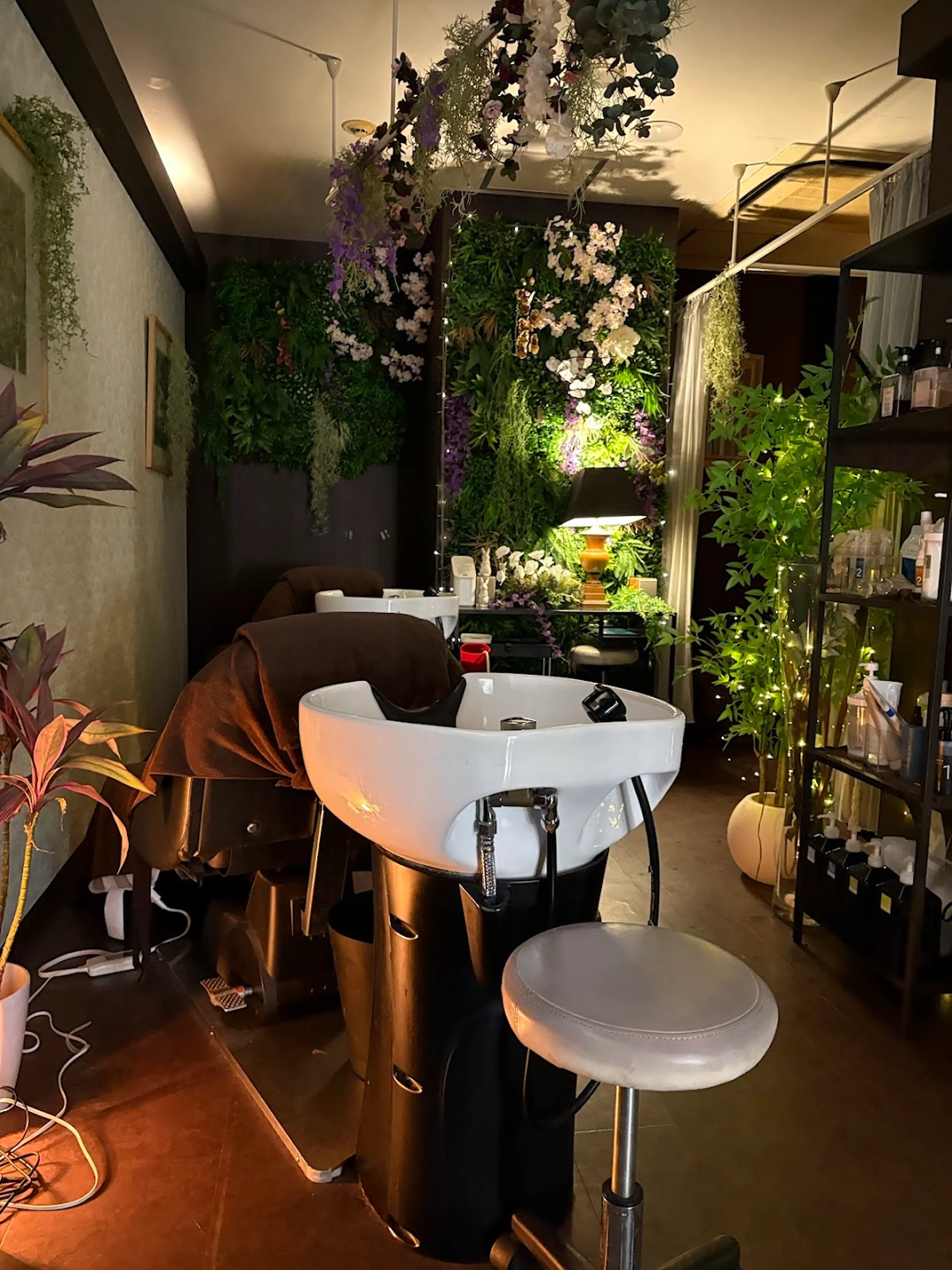 Beauty and Care CALON (Charon)