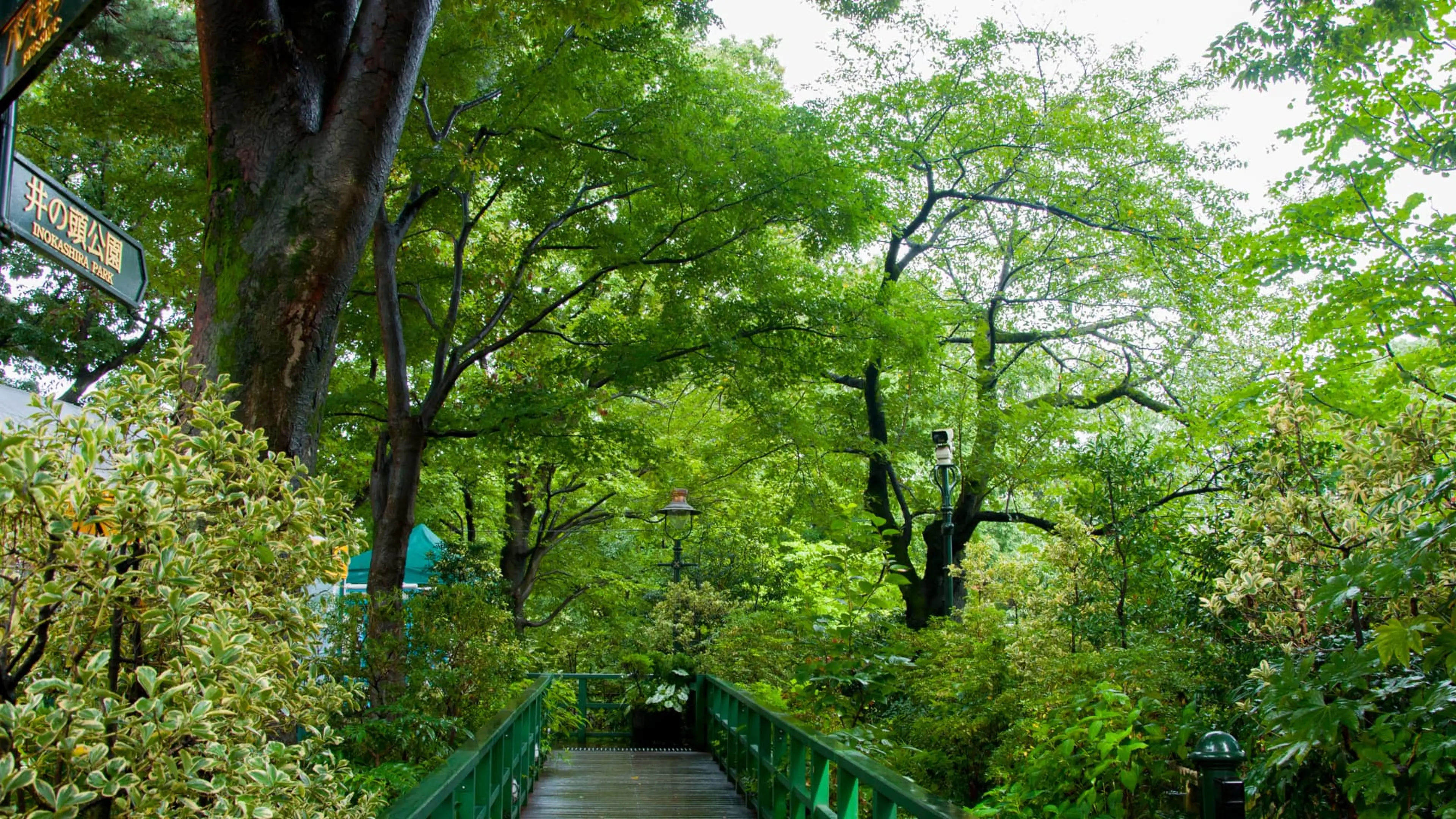 Where can I meet Totoro? Hidden spots to visit in Japan