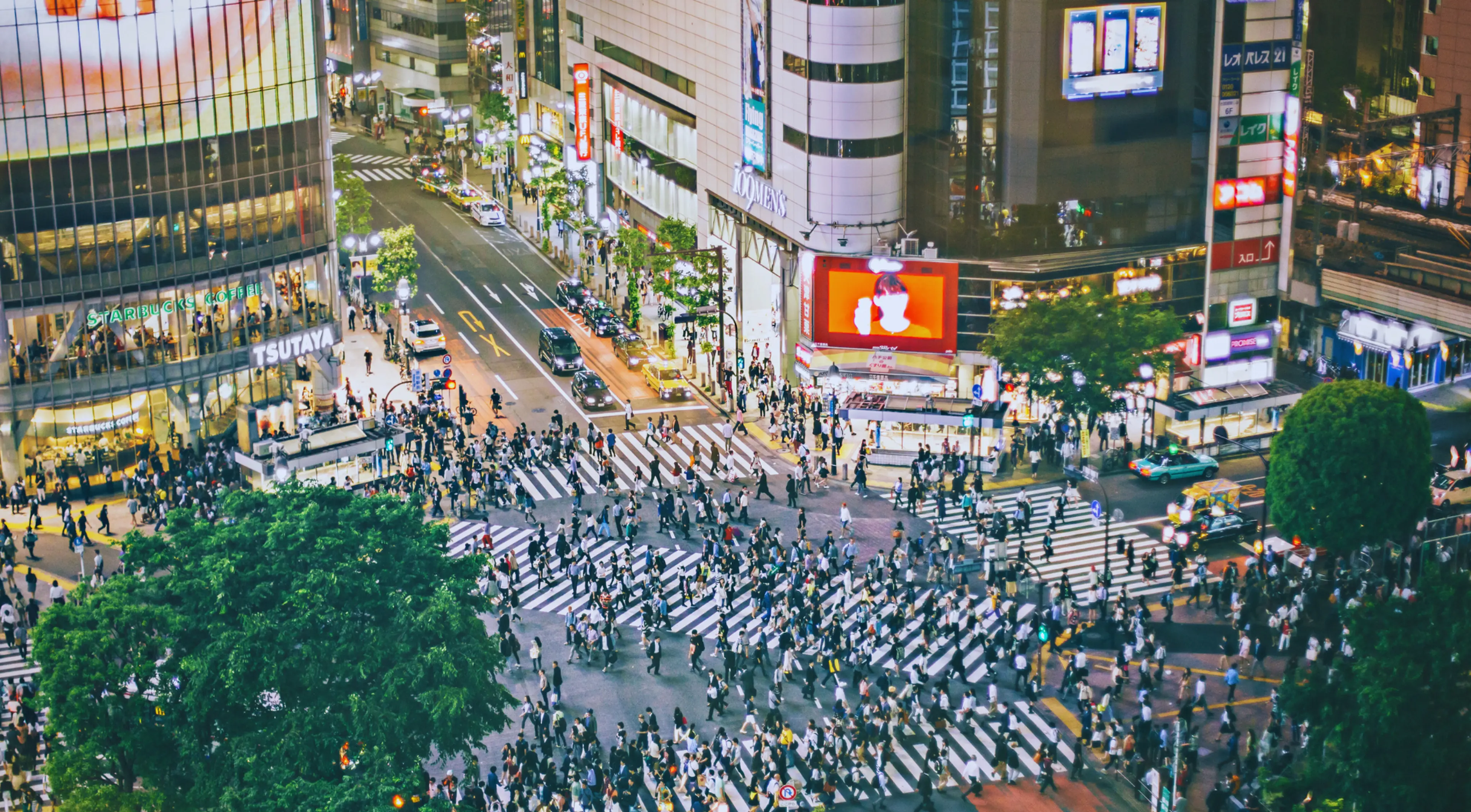 [Tokyo/ Shibuya-ku] tourist guide