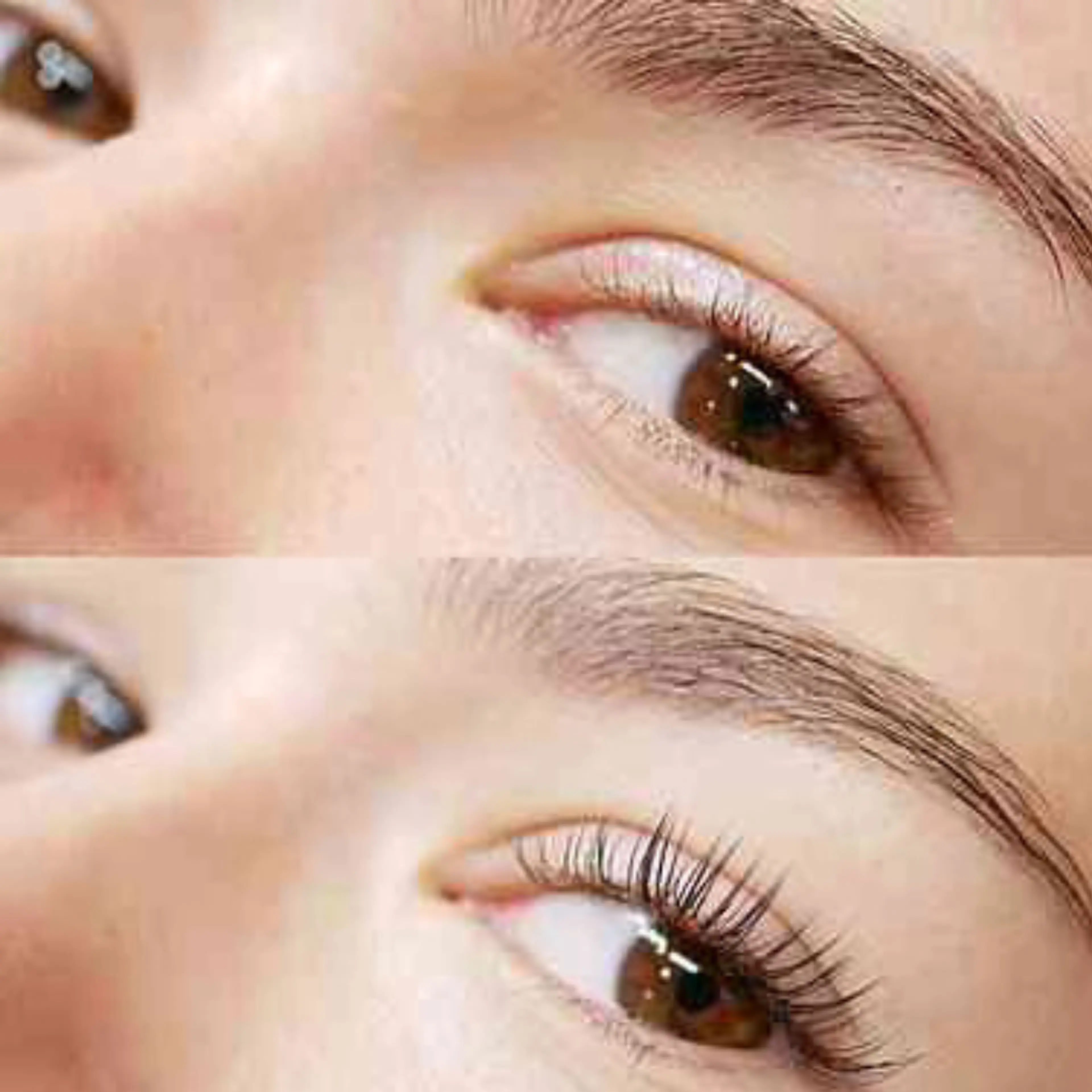 and MORE -Lash & Brow Lounge- (and More Lash and Brow Lounge)
