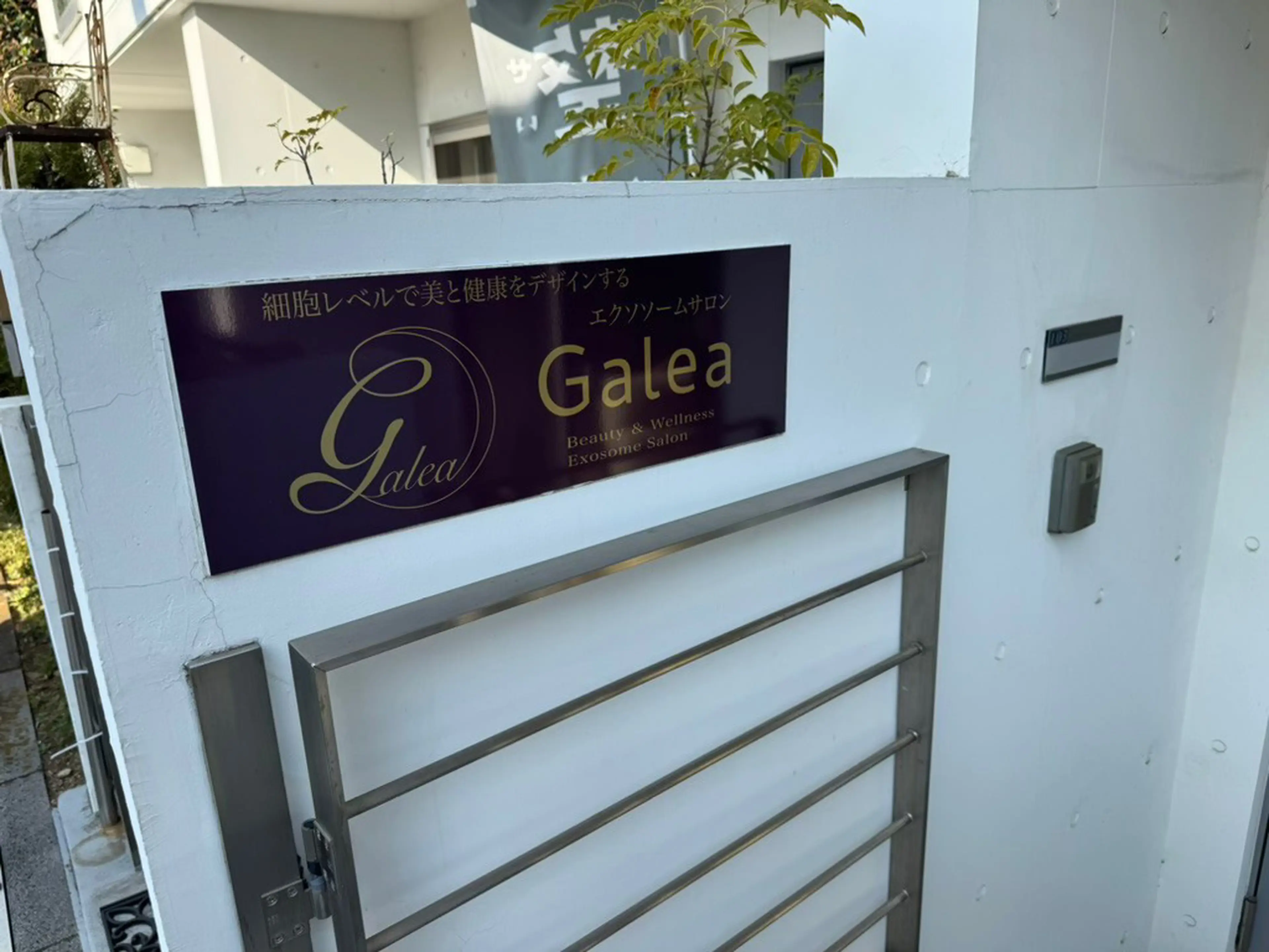 Exosome Salon Galea Jiyugaoka Store (Galea)
