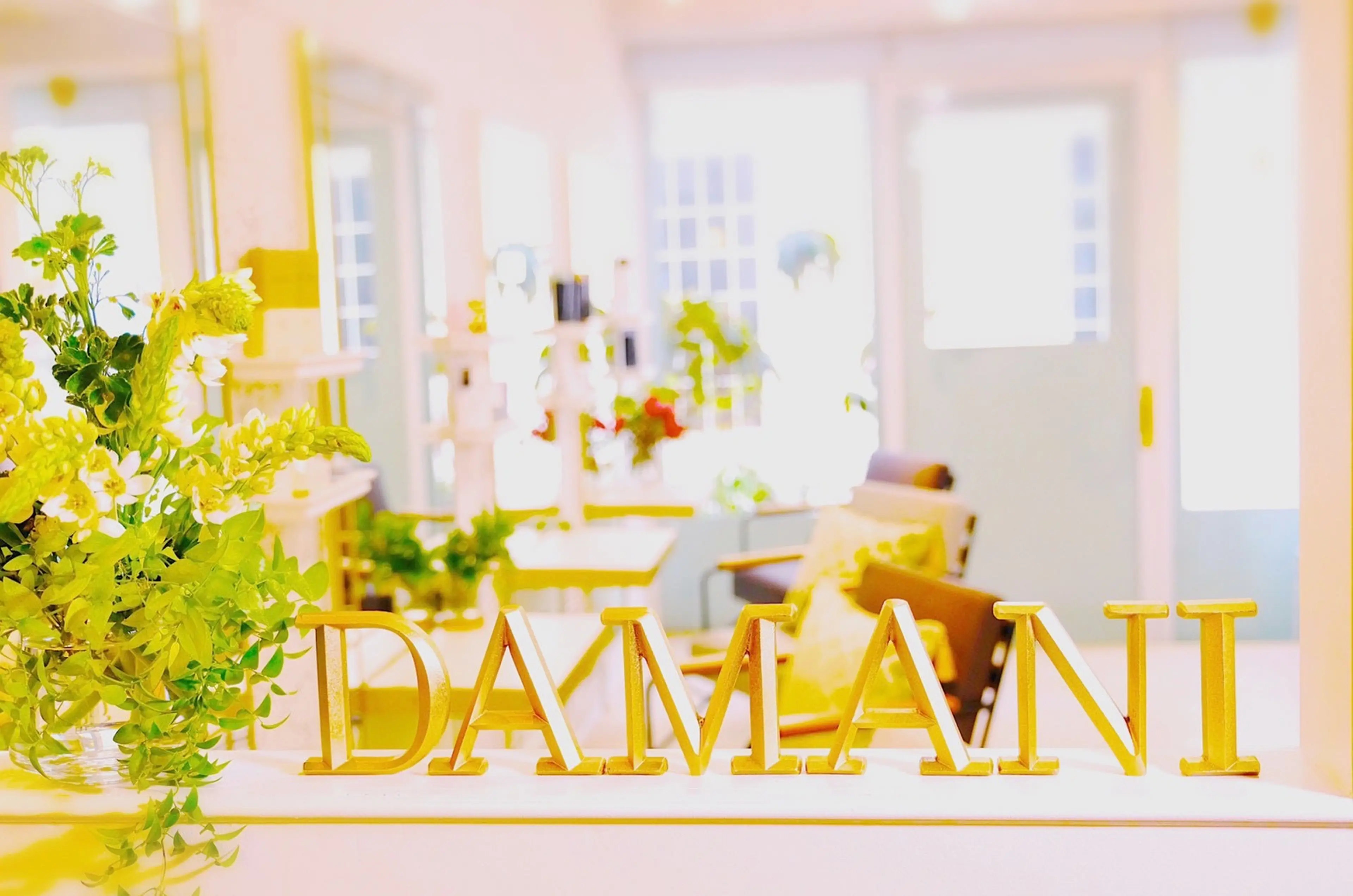 다마니 (다마니)