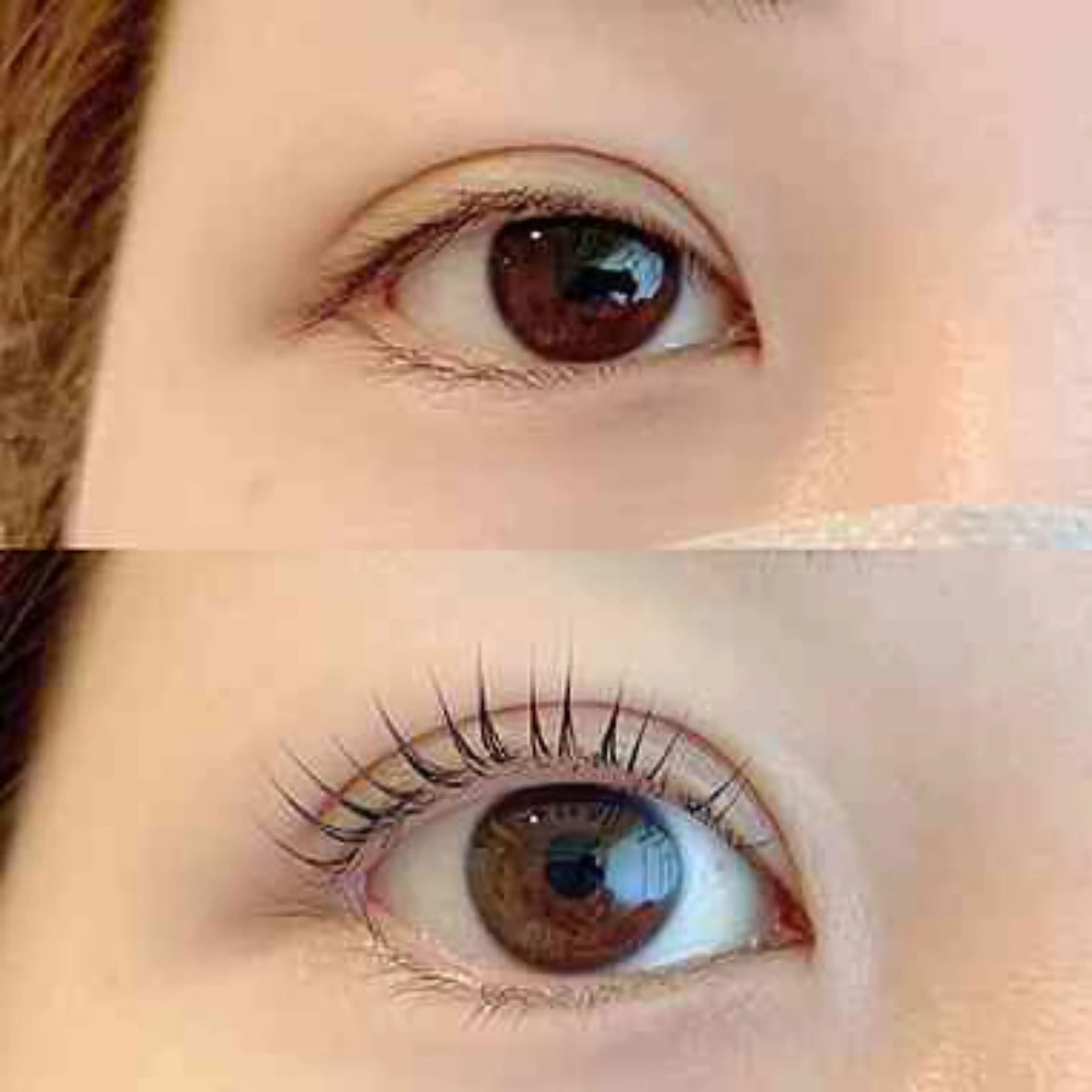 and MORE -Lash & Brow Lounge- (and More Lash and Brow Lounge)