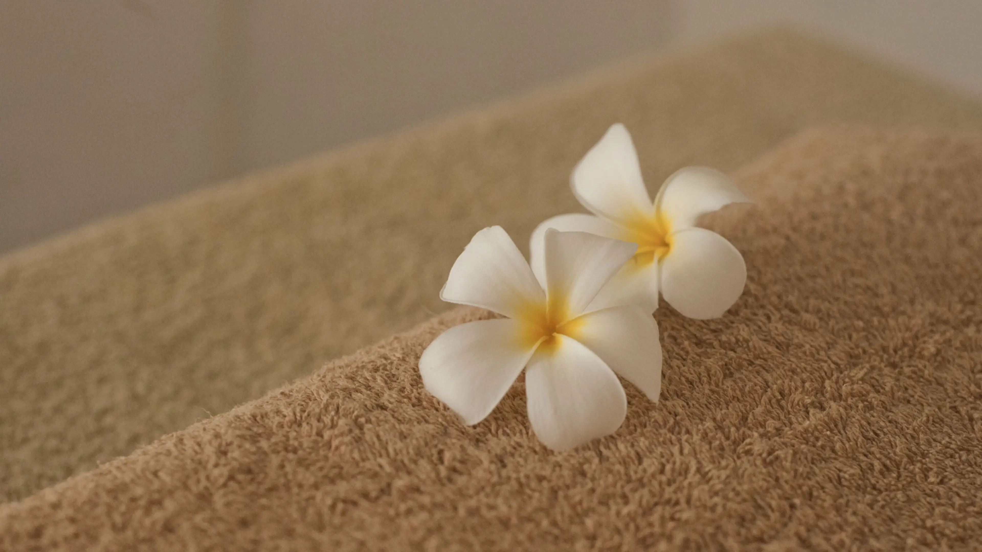 The ultimate massage experience you'll find in Okachimachi! Relax your mind and body