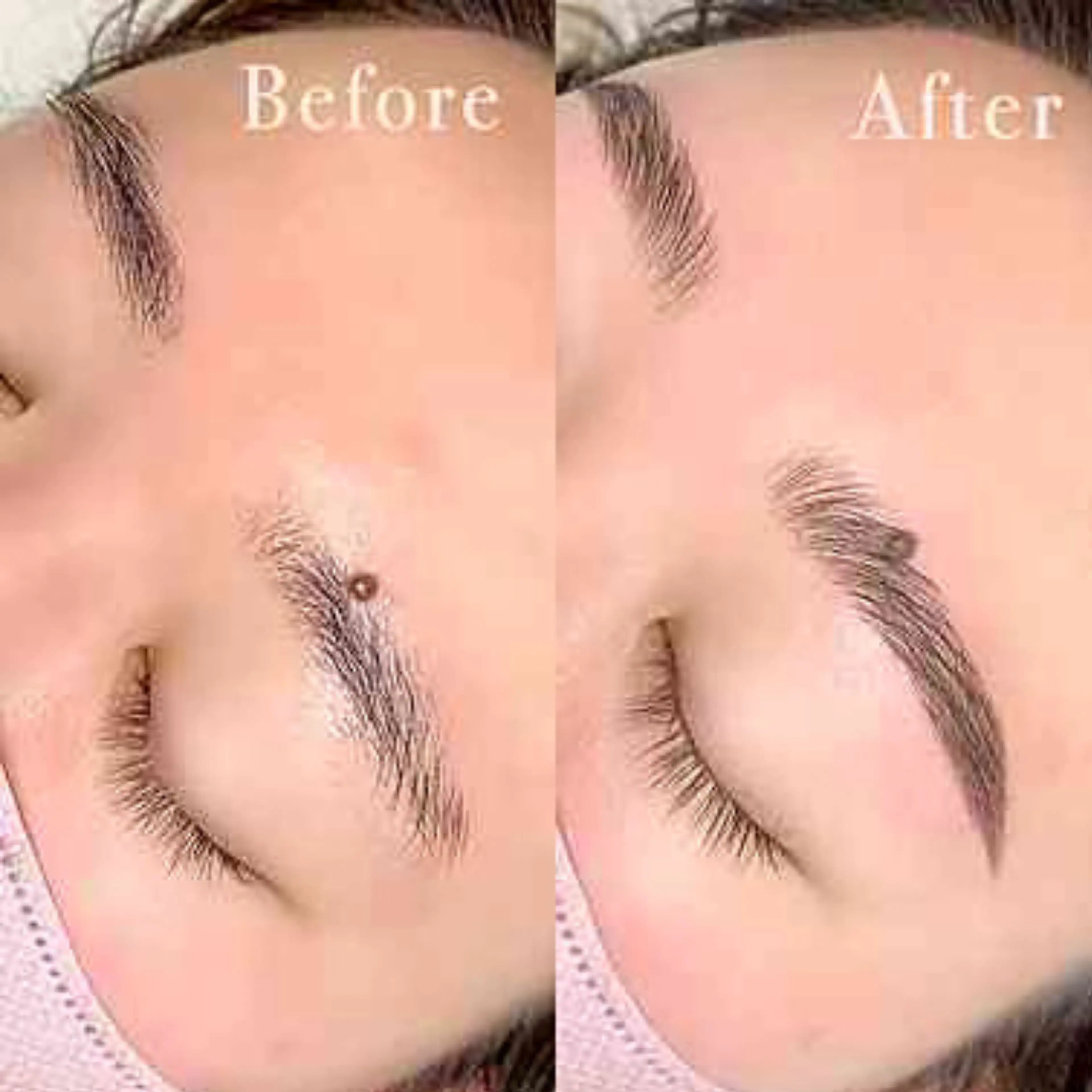 and MORE -Lash & Brow Lounge- (and More Lash and Brow Lounge)