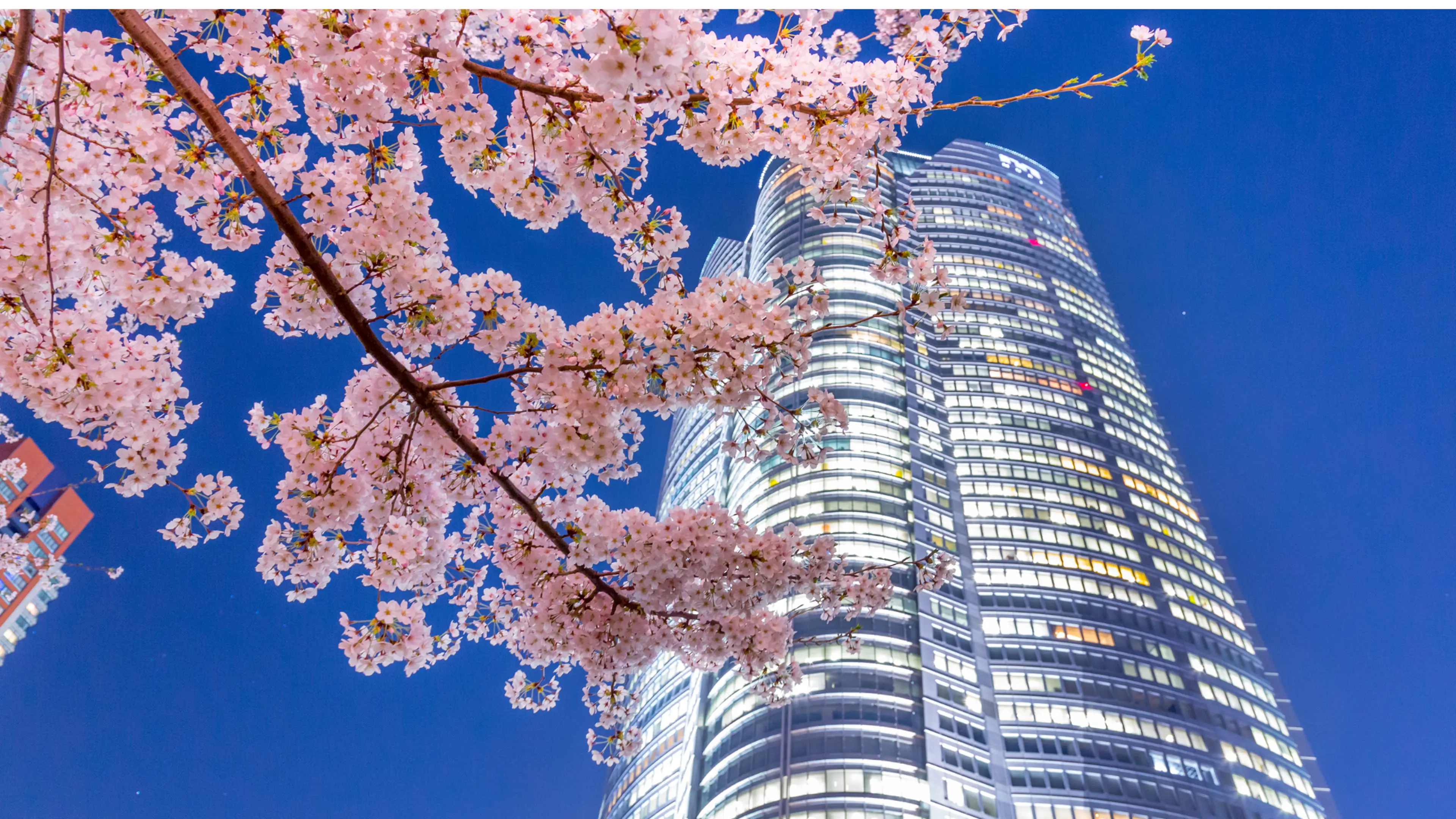 [Roppongi Hills Guide] Let's have the best experience in Tokyo.