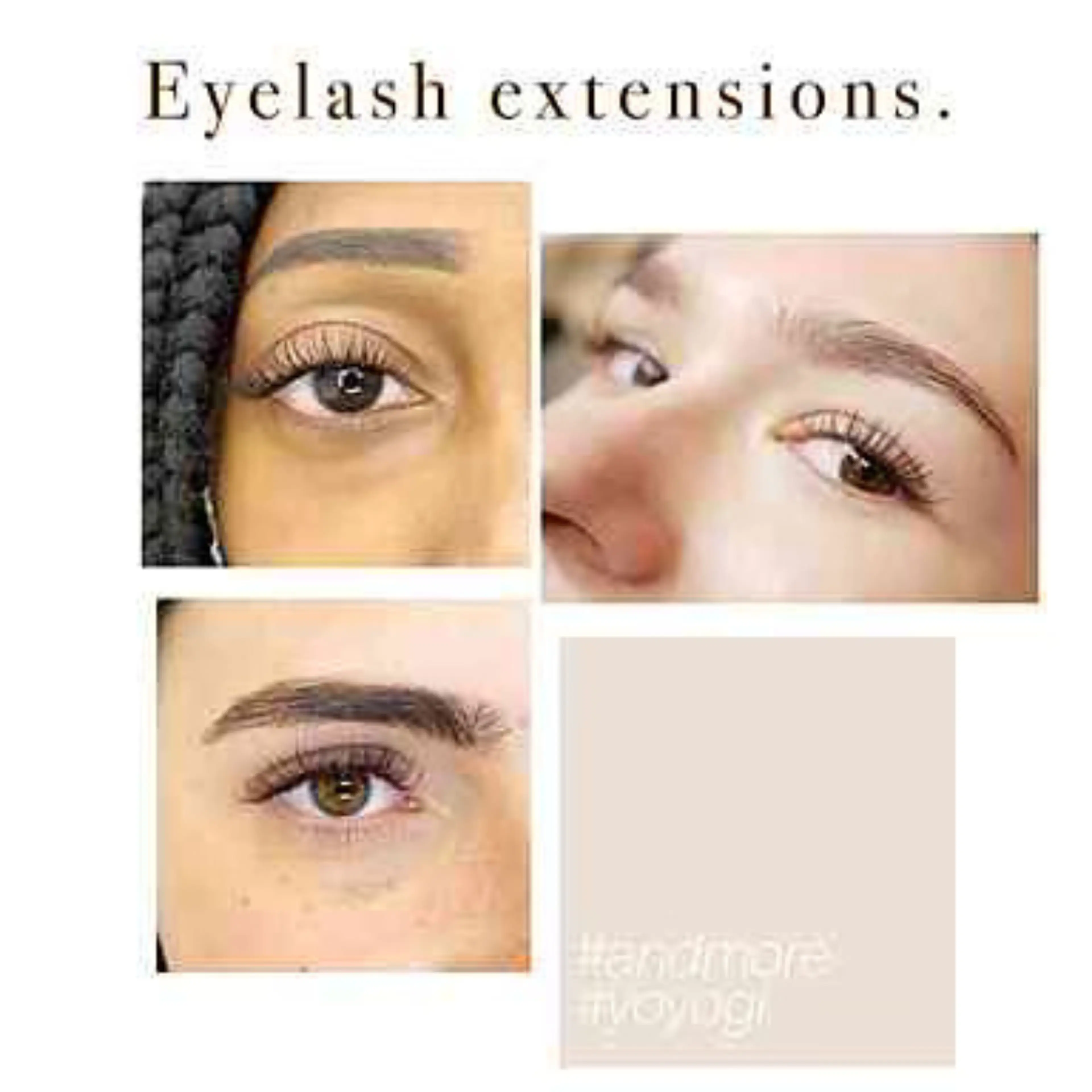 and MORE -Lash & Brow Lounge- (and More Lash and Brow Lounge)