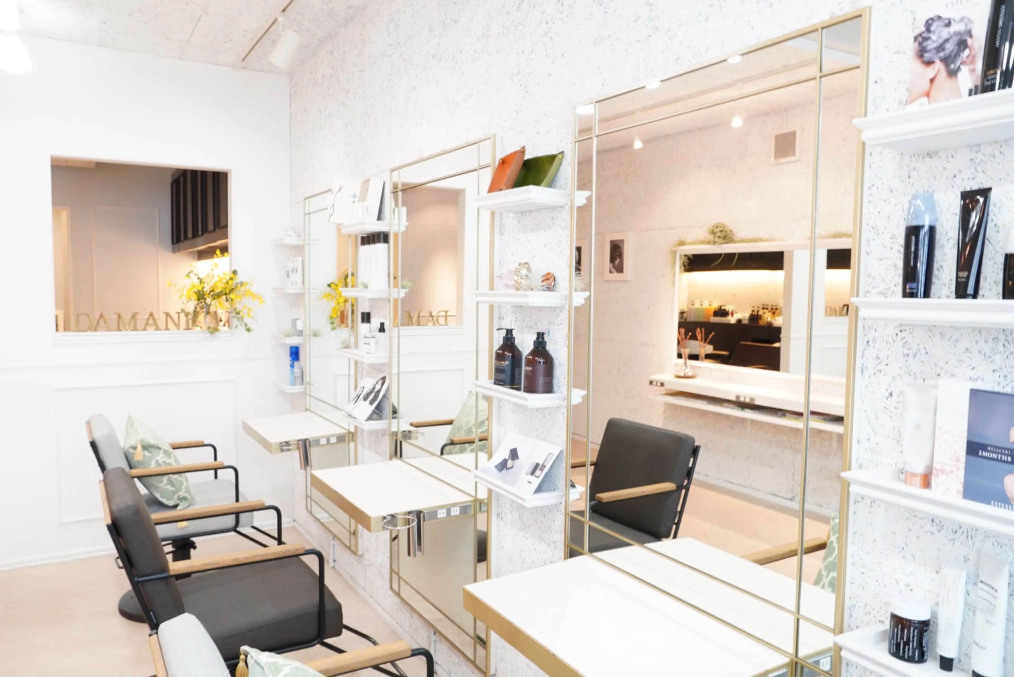 다마니 (다마니)