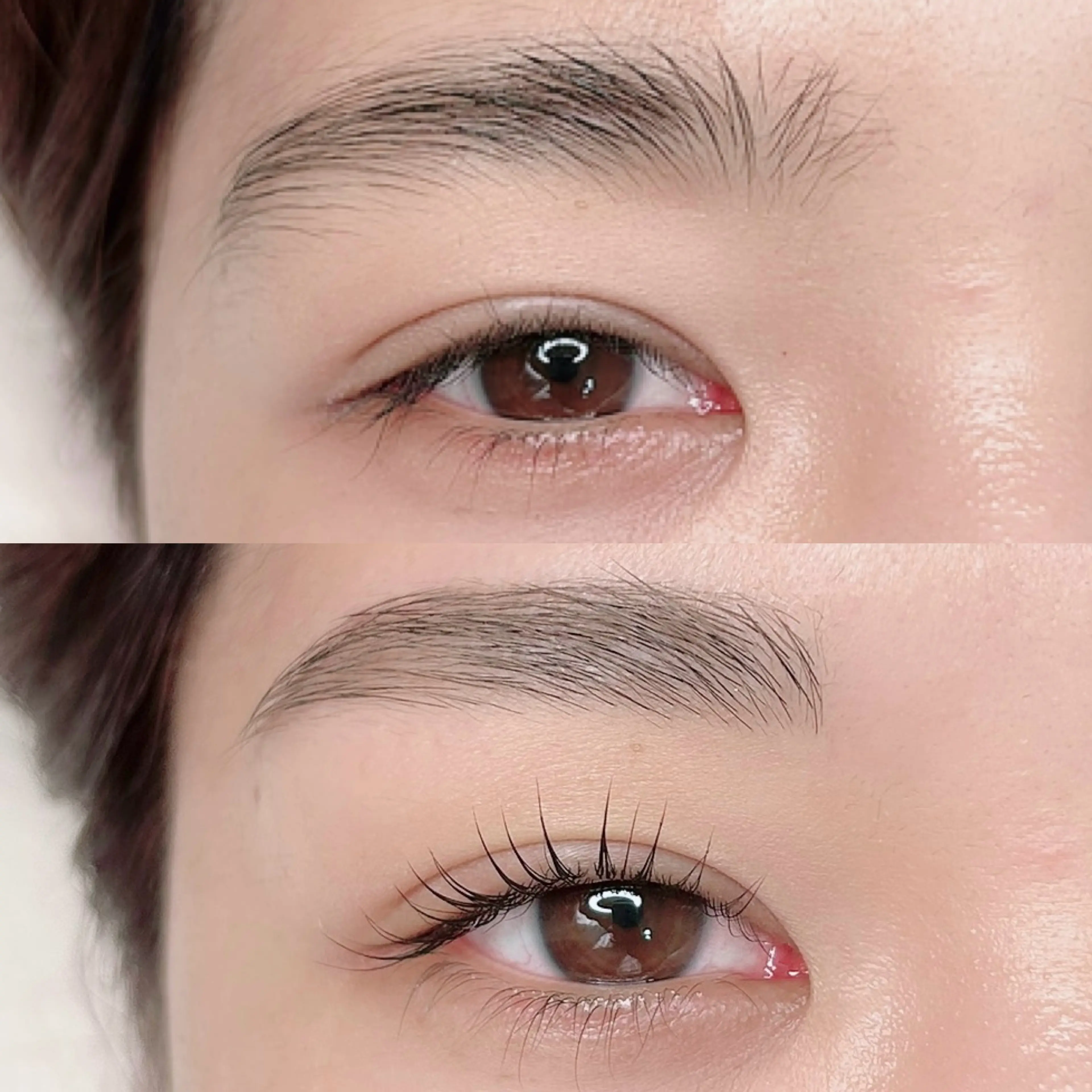 and MORE -Lash & Brow Lounge- (and More Lash and Brow Lounge)