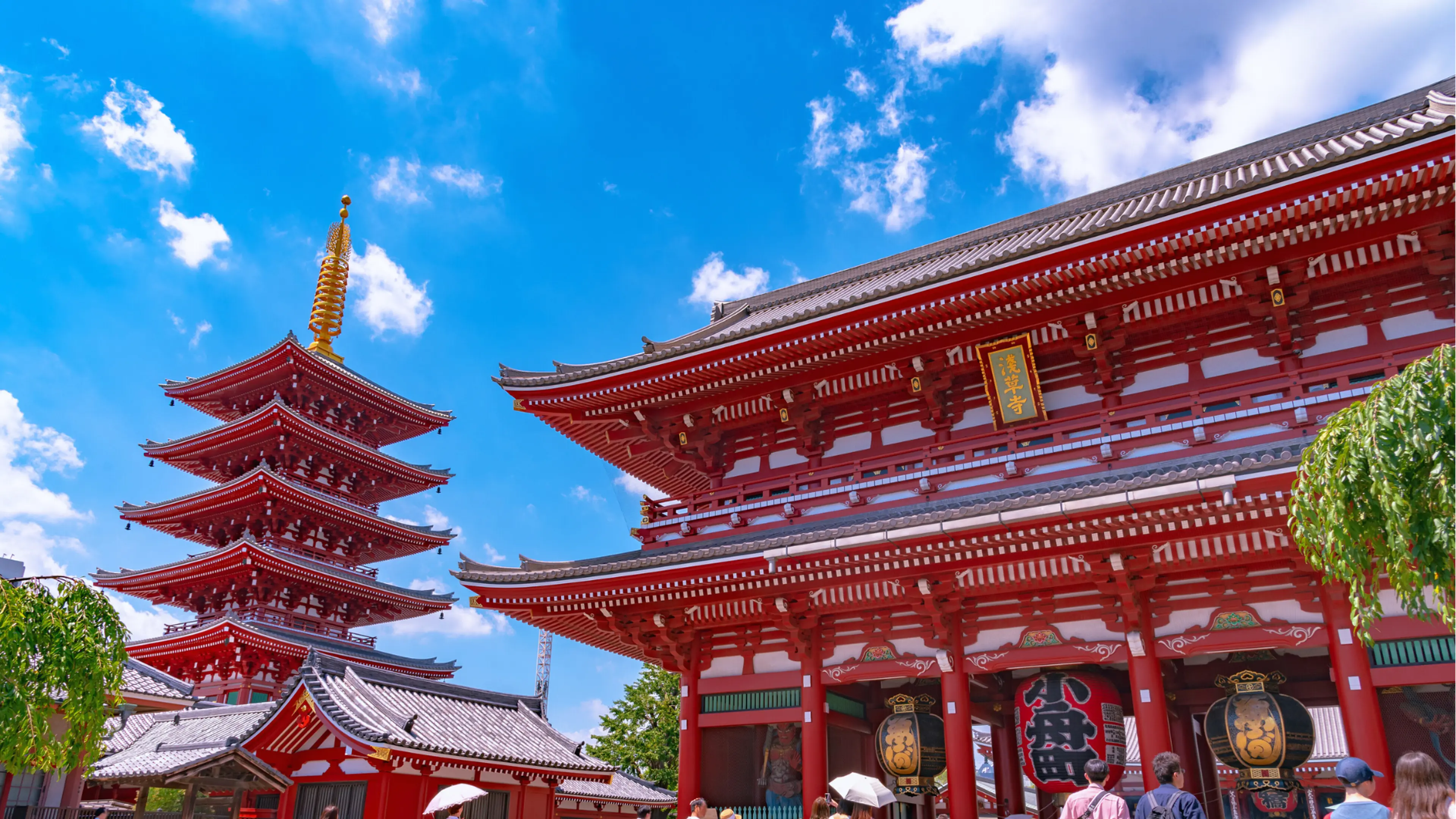 在日本的寺庙里要保持什么礼貌？导游