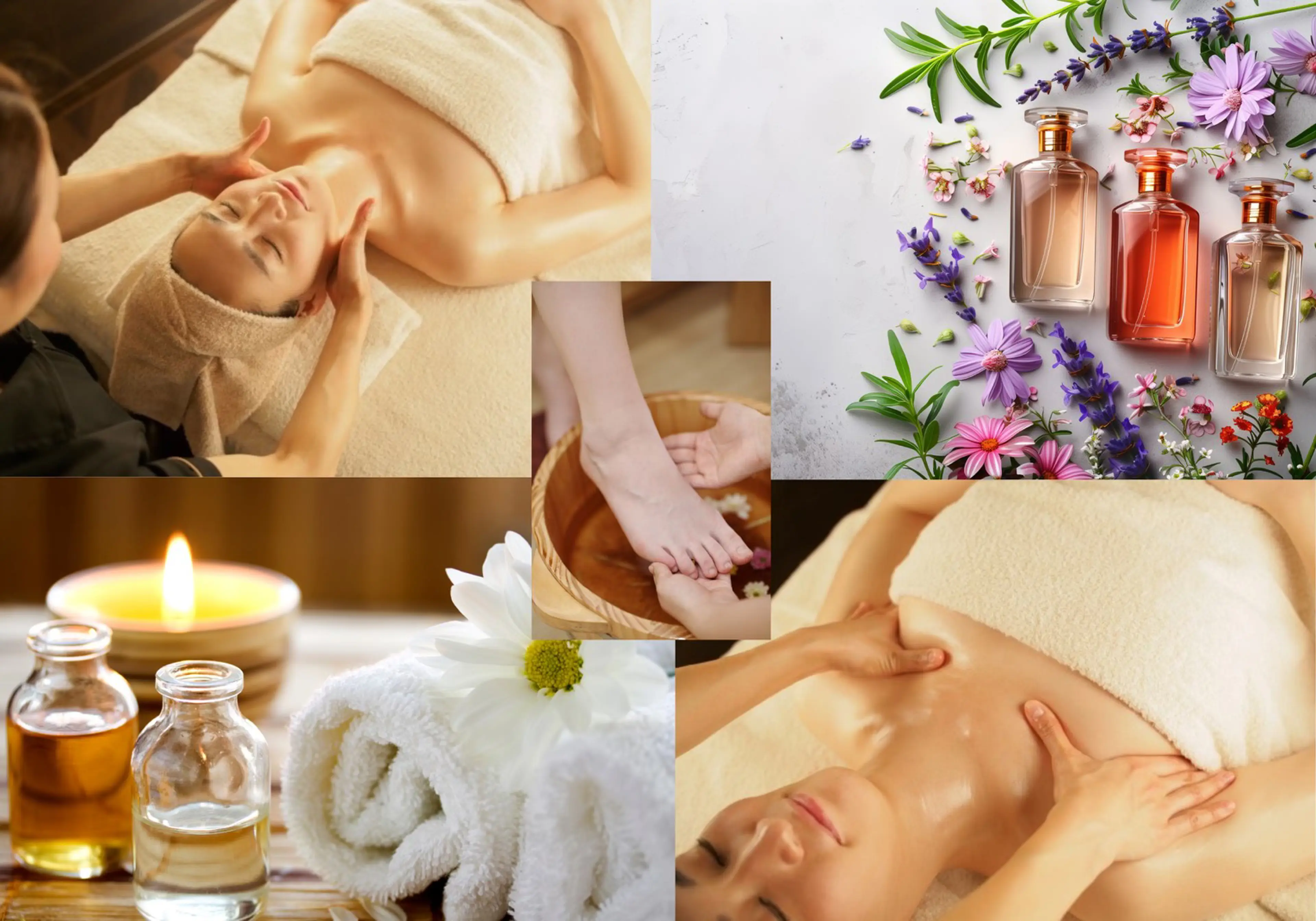 樱花惠比寿店（樱花）