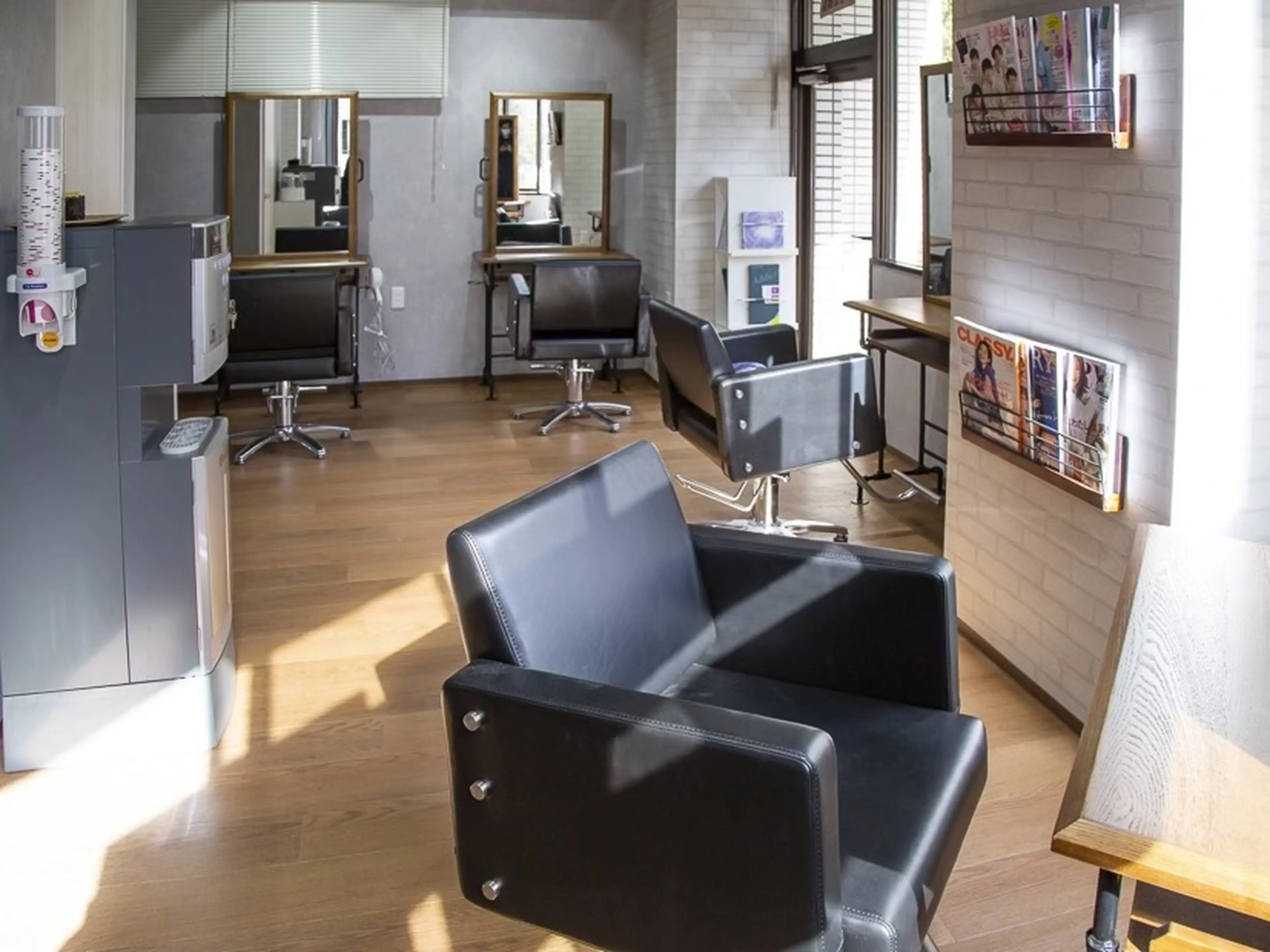 Vis ill Akihabara store (Visil)