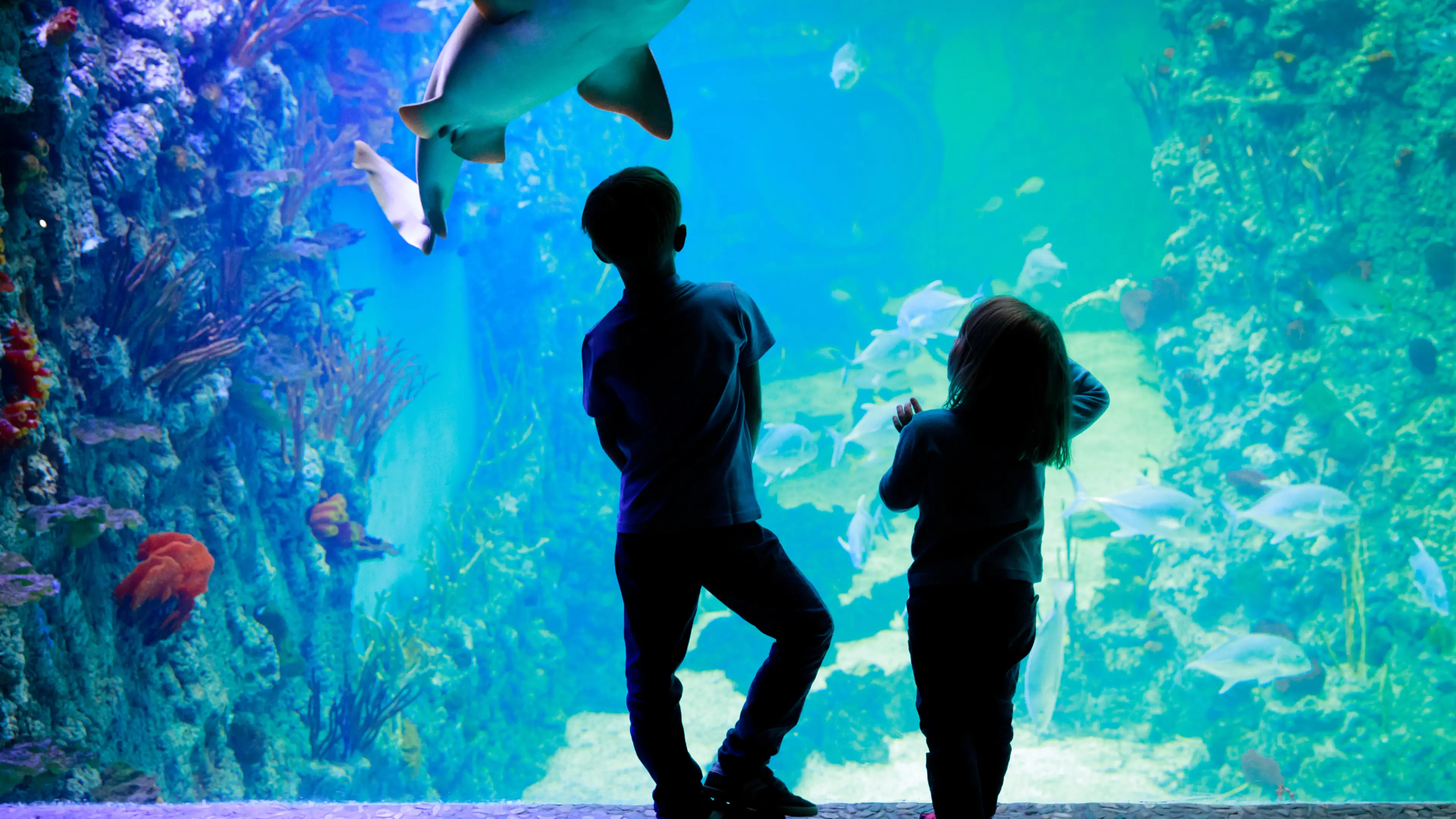 Safe even on rainy days! 10 Popular Indoor Sightseeing Spots in Tokyo