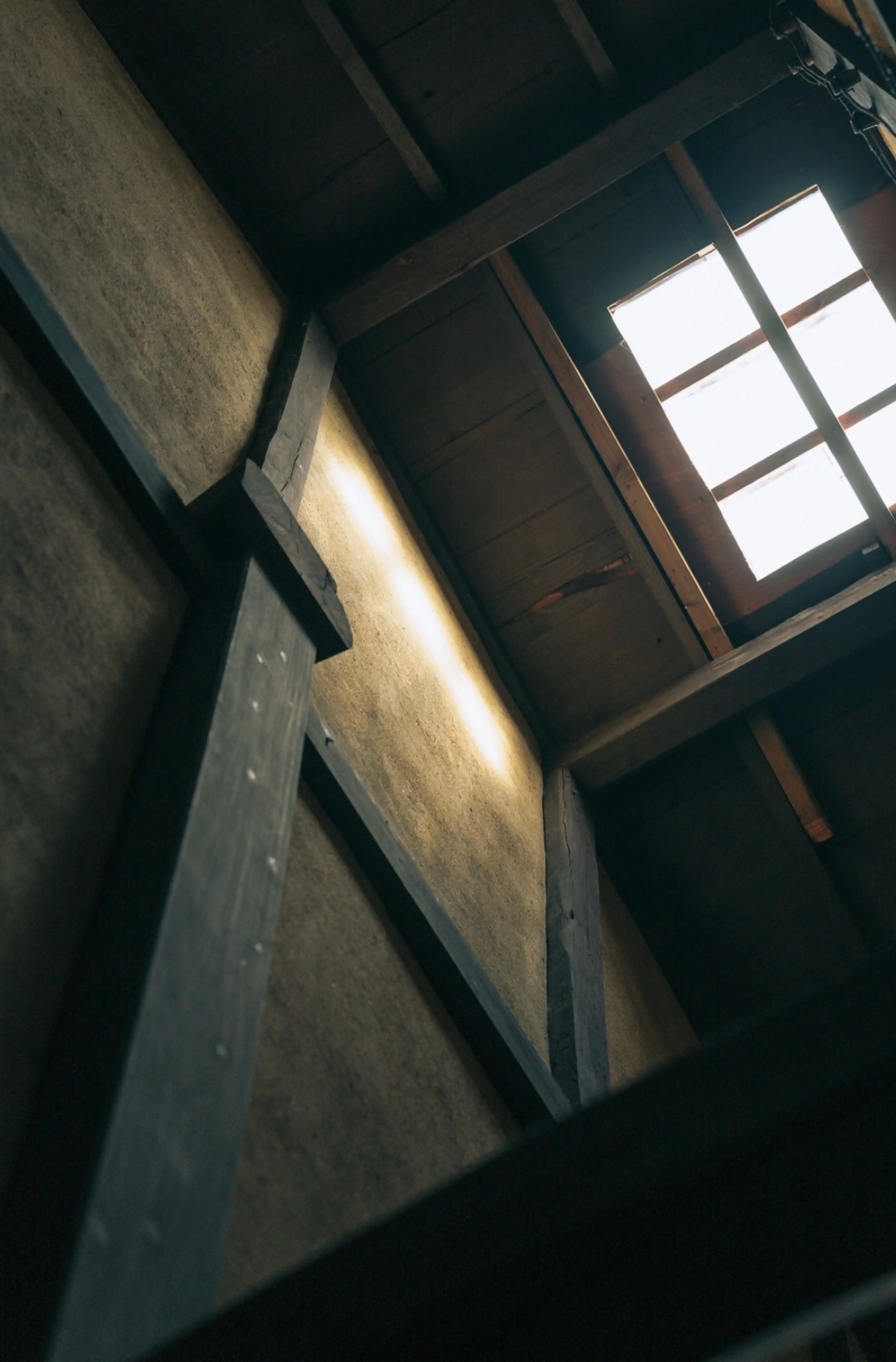 TANDEN KYOTO (TANDEN KYOTO)