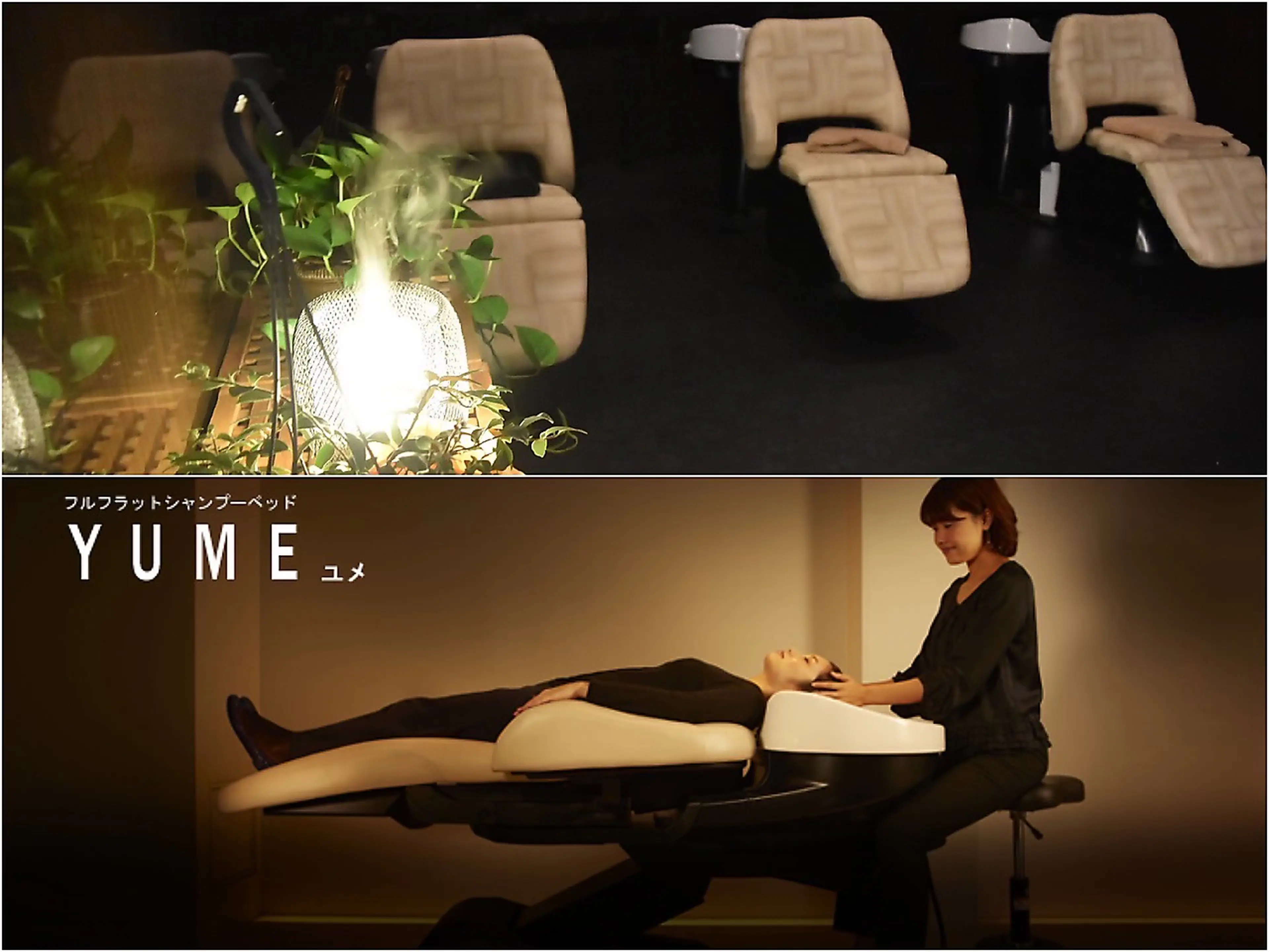 Vis ill Akihabara store (Visil)