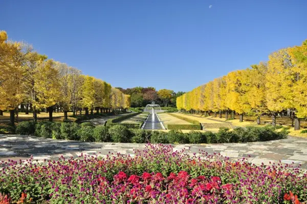 National Showa Memorial Park