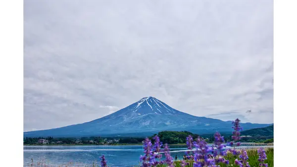 shizuoka