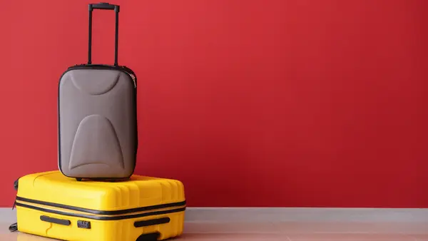 japan return suitcases
