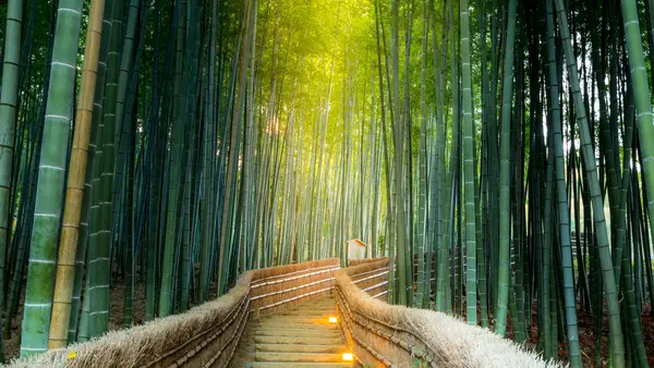 Kyoto / Arashiyama
