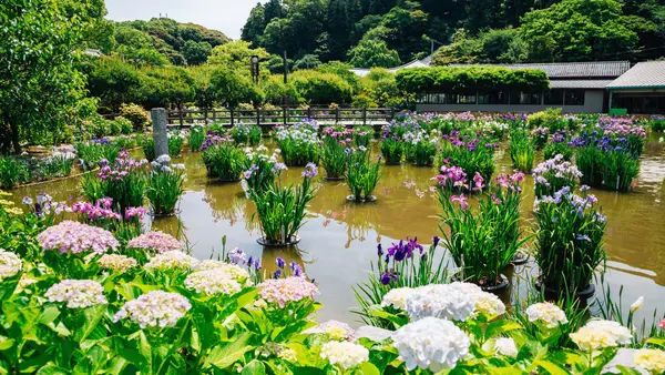 Fukuoka / Dazaifu