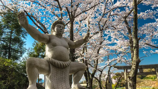 Sumo