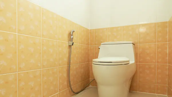 Types and features of toilets in Vietnam