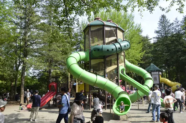Children's Forest