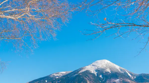 japan february temperature