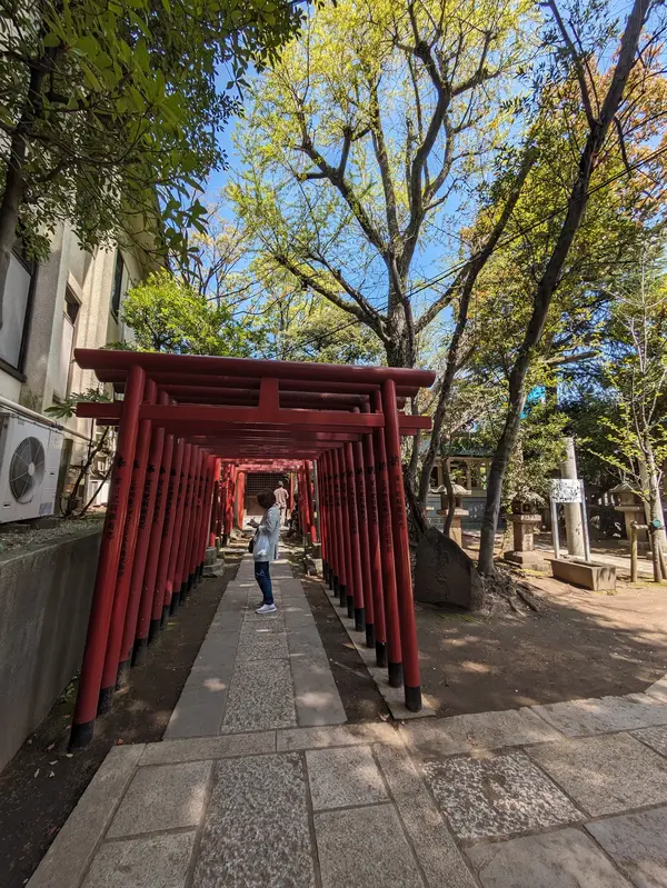 Shrines in Kotoku 'Tomioka Hachimangu'