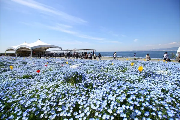 Zone of collaboration with seasonal flowers