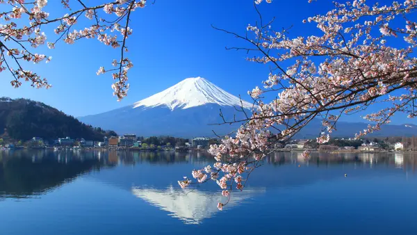 Mt Fuji