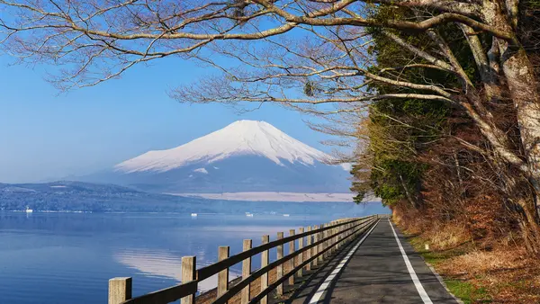 Mt Fuji