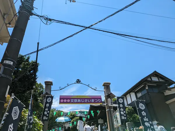 40th Bunkyo Hydrangea Festival