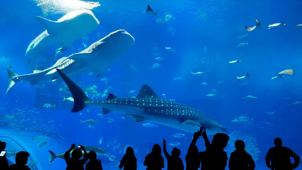Aquarium