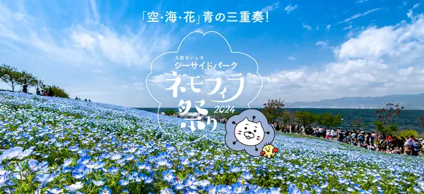 A complete guide to the 2024 Osaka Nemophila Festival! Enjoy blue ...