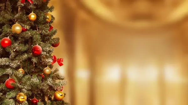 December Climate in Japan