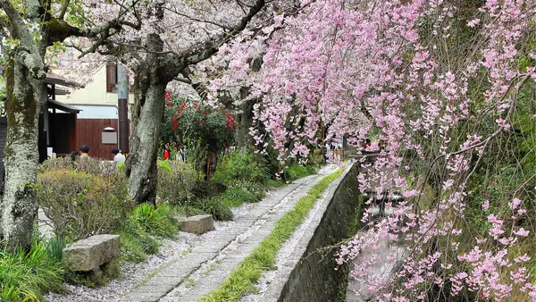 Philosophy Road Kyoto