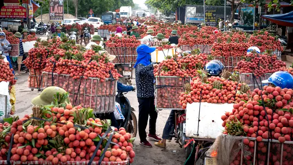 vietnam　lychee