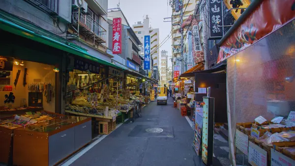 Tsukiji Market