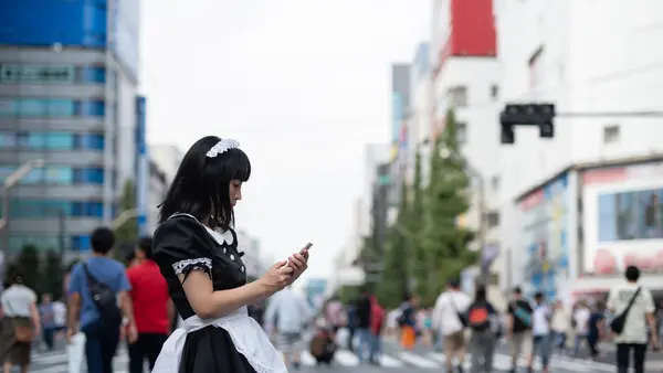 Shinjuku / Akihabara area, Tokyo