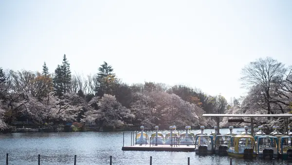 Inokashira Onshi Park