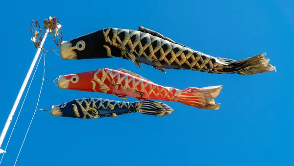 Carp streamer