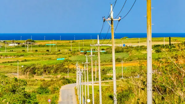 Getting around Ishigaki Island